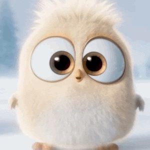 Meet your Posher, Sophia